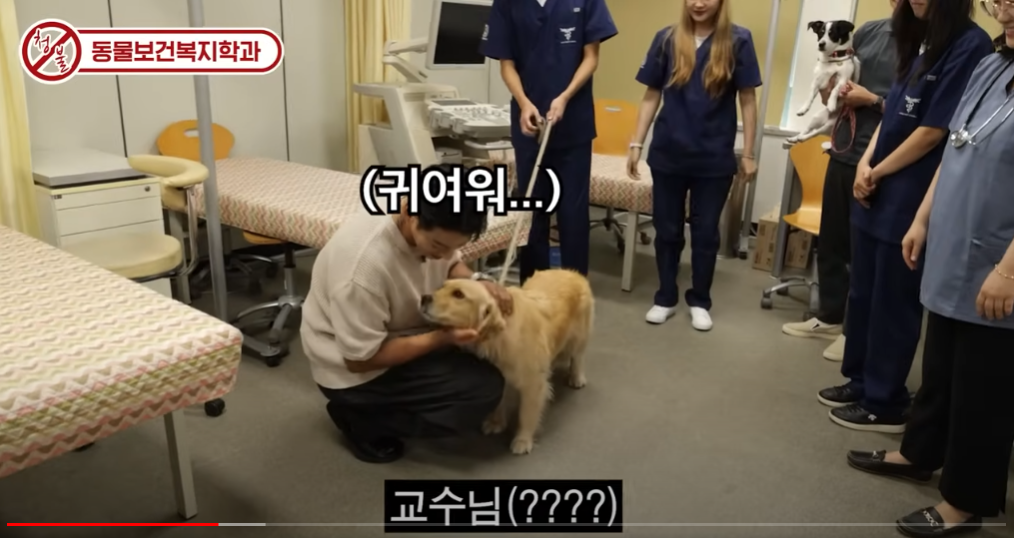 [청불🚫] 청주대가 불러서옴 황치열편 - 동물보건복지학과 1번째 파일 - 자세한 내용은 본문 참조